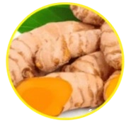 Curcuma