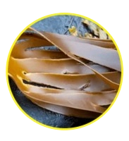 Fucoxanthin