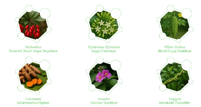 GlucoGen17 Key Ingredients