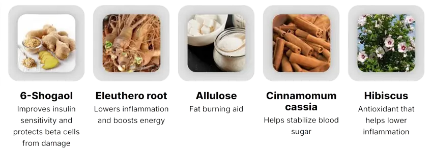 Glucovy Ingredients