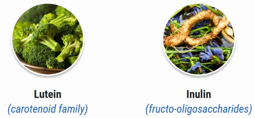 Sumatra Slim Belly Tonic Ingredients - Lutein, Inulin