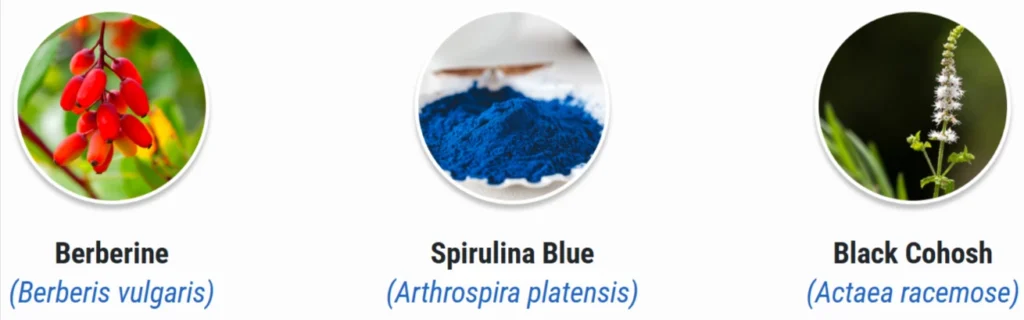 Sumatra Slim Belly Tonic Ingredients - Spirulina Blue, Black Cohosh
