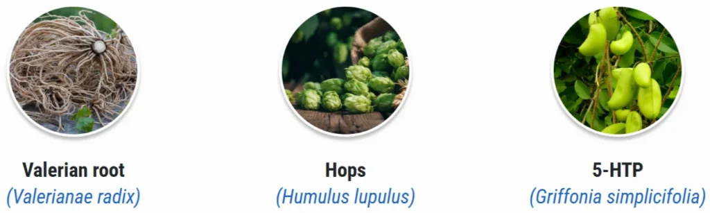 Sumatra Slim Belly Tonic Ingredients - Valerian root, Hops, 5-HTP