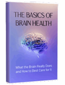 The Basics Of Brain Health