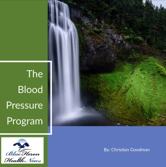 The Blood Pressure Program