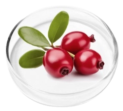 Bearberry