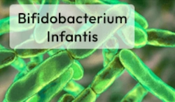 Bifidobacterium infantis