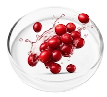 Cranberry Extract