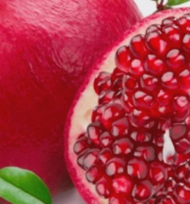 Lycopene
