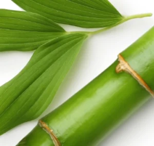 Phyllostachys Edulis Extract