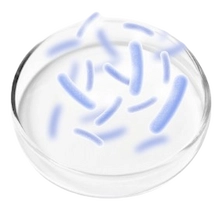 Probiotic Blend