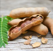 Tamarind