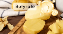 potato starch